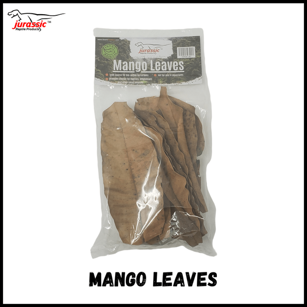 Jurassic Mango Leaf Litter