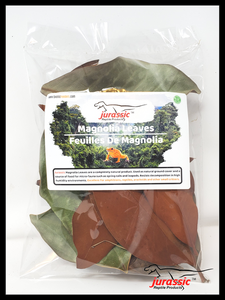 Jurassic Magnolia Leaf Litter