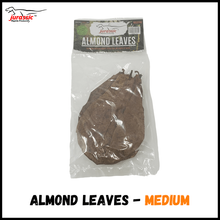 Load image into Gallery viewer, Jurassic Almond Leaf Litter
