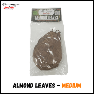 Jurassic Almond Leaf Litter