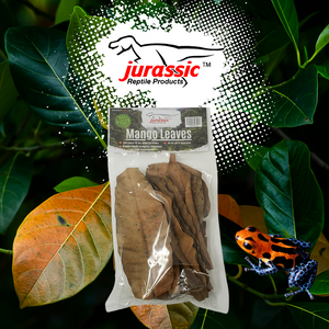 Jurassic Mango Leaf Litter